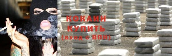 тгк Алзамай