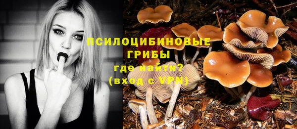 прущий лед Алексеевка